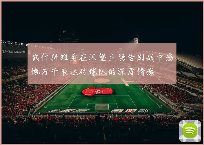 武什科维奇在汉堡主场告别战中感慨万千表达对球队的深厚情感